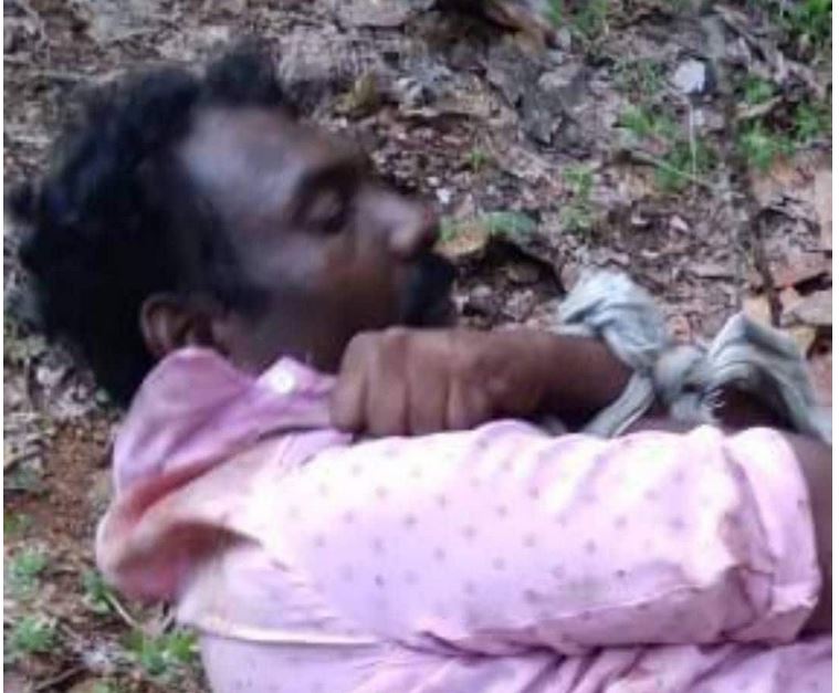 https://www.malayalamnewsdaily.com/sites/default/files/2022/05/03/pradeep.jpg