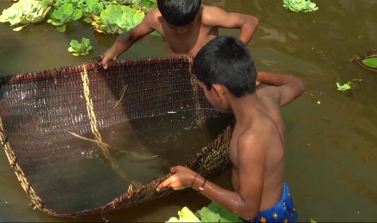 സ്‌കൂളില്‍ കൊഴിഞ്ഞുപോക്കു തടയാന്‍ മീന്‍ പിടിത്തം പാഠ്യപദ്ധതിയുടെ ഭാഗമാക്കി  | Malayalam News